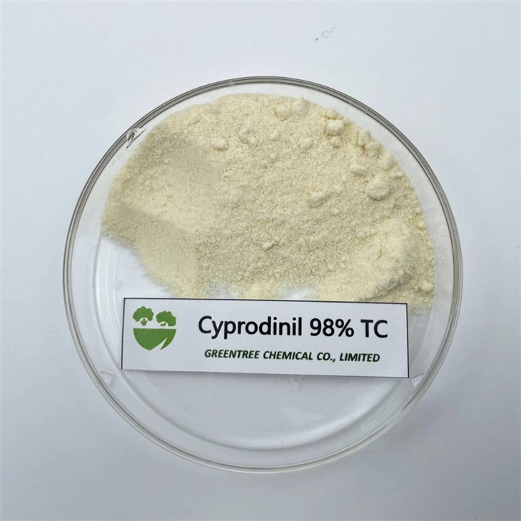 C14H15N3 Cyprodinil 98% Tc ٹیکنیکل فنگسائیڈ