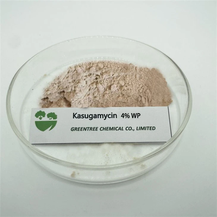 C14H25N3O9 CAS 6980-18-3 فنگسائڈ بیکٹیریسائیڈ کاسوگامائسن 4% ڈبلیو پی مصنوعات